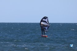 20241110-franqui-259.jpg