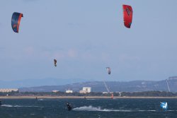 20241110-franqui-280.jpg