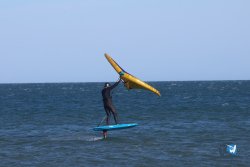 20241110-franqui-281.jpg