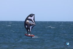 20241110-franqui-301.jpg