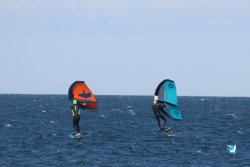 20241110-franqui-315.jpg