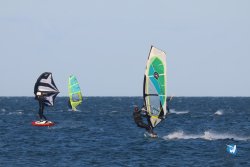 20241110-franqui-327.jpg
