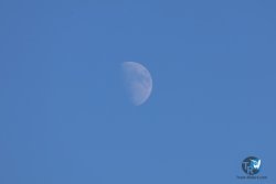 20241110-franqui-334.jpg