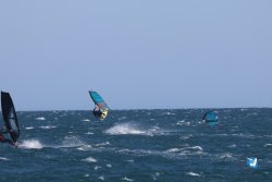 20241111-Franqui-fort-127.jpg