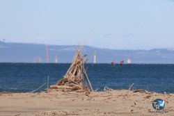 20241122-franqui-003.jpg