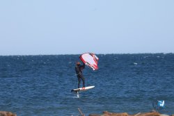 20241122-franqui-004.jpg
