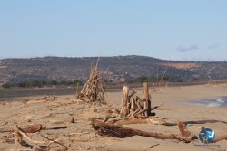 20241122-franqui-054.jpg