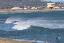 20241122-franqui-106.jpg