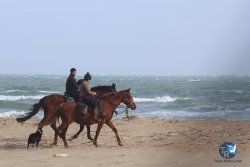 20241124-gros-franqui-009.jpg