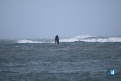20241124-gros-franqui-023.jpg