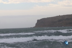 20220423-Franqui-wave-031.JPG