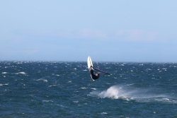 20241206-franqui-fort-125.jpg