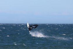 20241206-franqui-fort-126.jpg