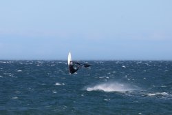 20241206-franqui-fort-129.jpg