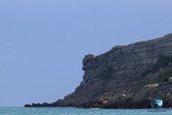 20241221-franqui-055.jpg