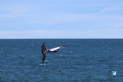 20241221-franqui-085.jpg