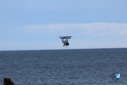 20241221-franqui-152.jpg