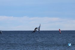 20241221-franqui-166.jpg
