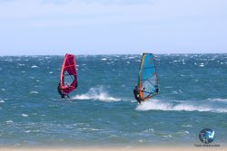 20250131-Franqui-windsurf-35-080.jpg
