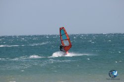 20250315-Franqui-002.jpg