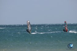 20250315-Franqui-003.jpg