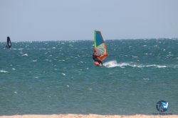 20250315-Franqui-006.jpg