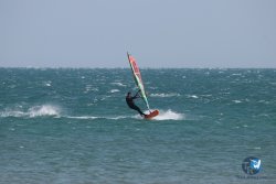 20250315-Franqui-008.jpg
