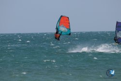 20250315-Franqui-032.jpg