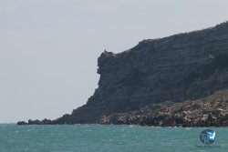 20250315-Franqui-039.jpg