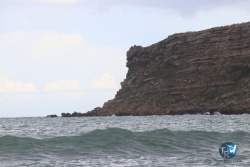 20220423-Franqui-wave-136.JPG