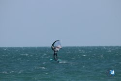20250315-Franqui-118.jpg