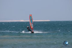 20250315-Franqui-119.jpg