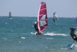 20250315-Franqui-157.jpg