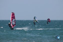 20250315-Franqui-169.jpg