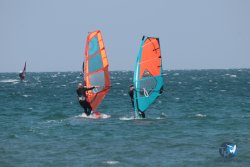 20250315-Franqui-175.jpg