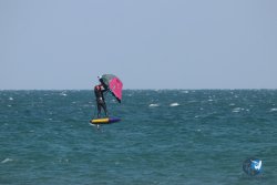 20250315-Franqui-178.jpg