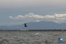 20250322-Teleski-161.jpg