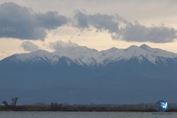 20250322-Teleski-185.jpg