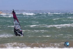 20250329-Riells-096.jpg
