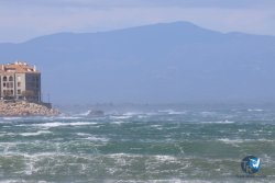 20250329-Riells-098.jpg