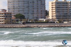 20250329-Riells-164.jpg