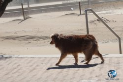 20250329-Riells-223.jpg