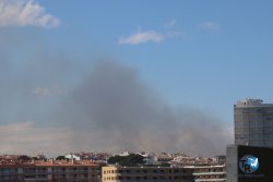 20250329-Riells-224.jpg