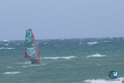20250411-pont-des-basses-019.jpg
