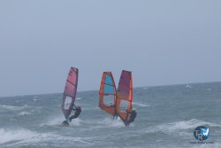 20250411-pont-des-basses-074.jpg