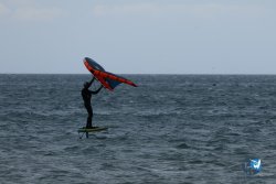 20250426-Franqui-wing-003.jpg