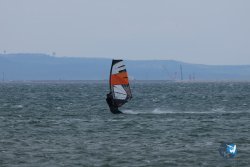 20250426-Franqui-wing-008.jpg