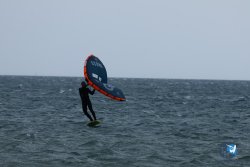 20250426-Franqui-wing-009.jpg