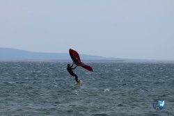 20250426-Franqui-wing-017.jpg