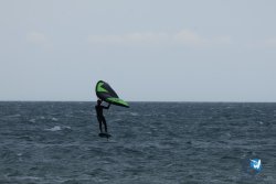 20250426-Franqui-wing-021.jpg